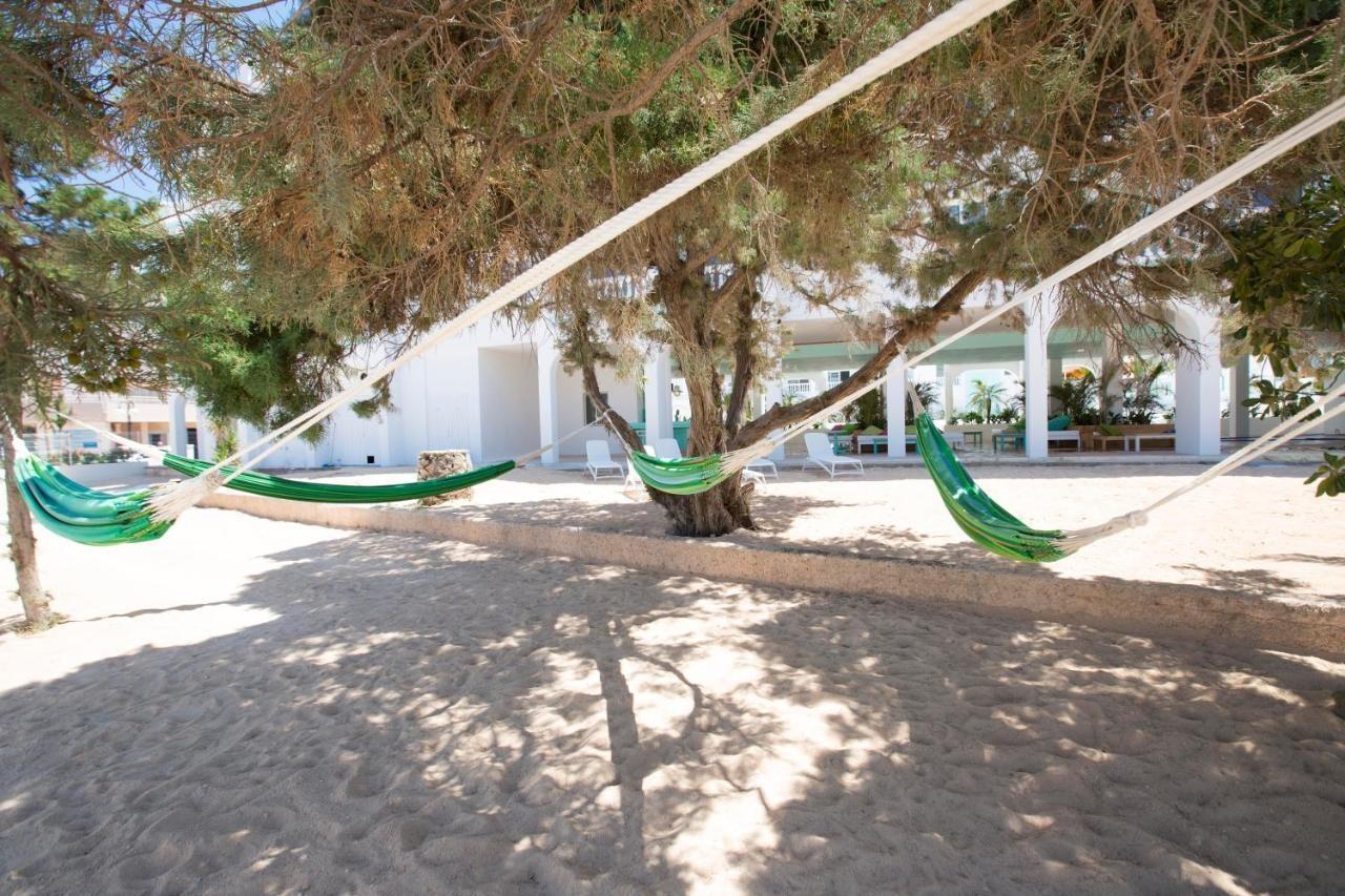海滩之星伊维萨公寓式酒店 - 仅限成人 聖安東尼奧 外观 照片